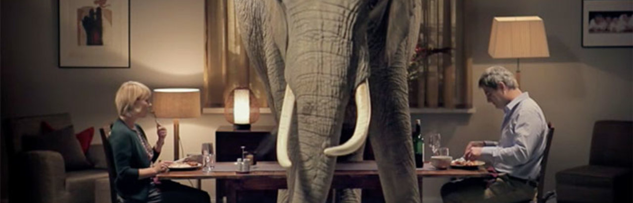 L’elefante nella stanza