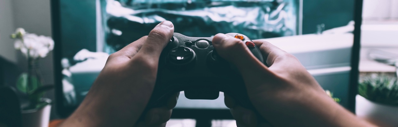Costruing the experience of the gamer